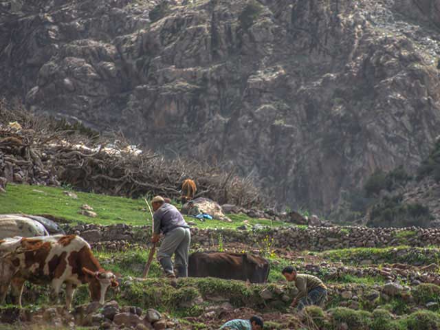 One day trek from Riad to Tamsoult waterfalls4